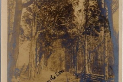haddonheightsinndriveway-1906